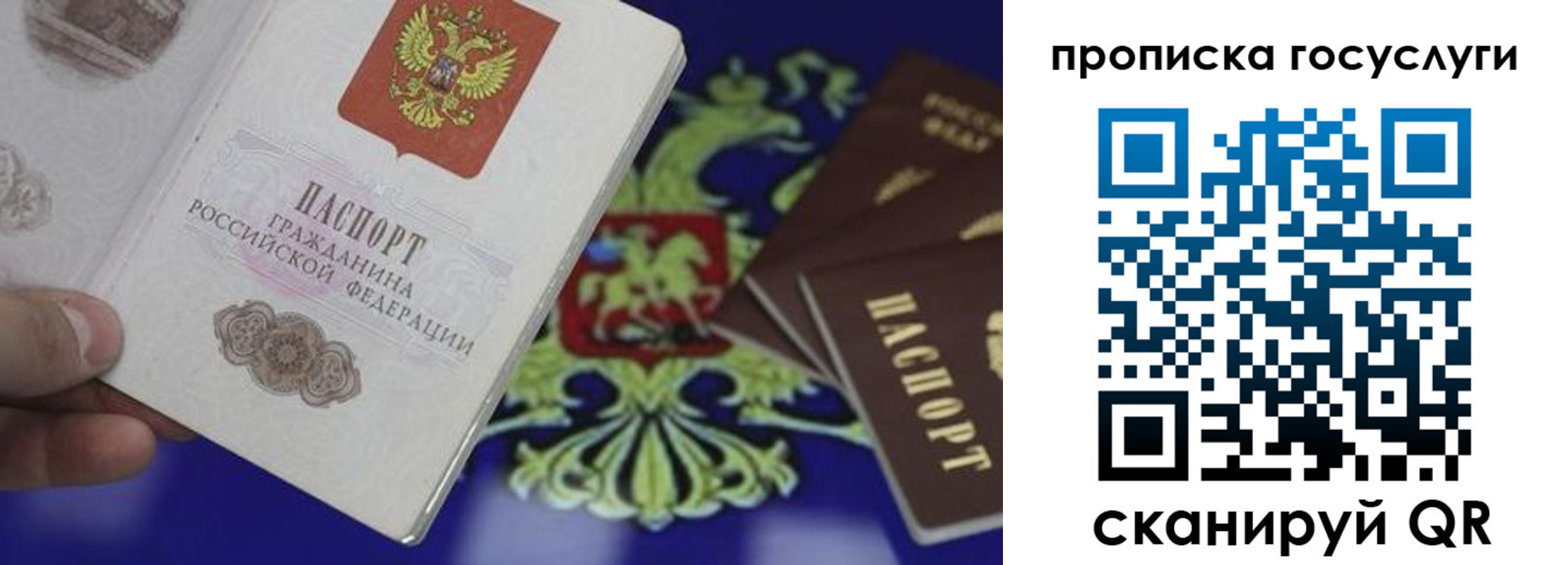 прописка для школы в Каргополе
